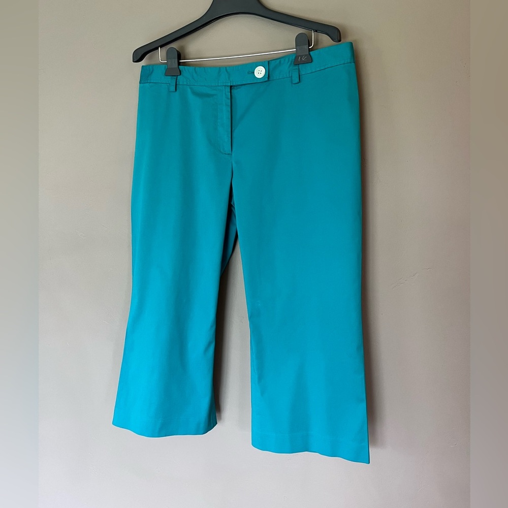 Ann Taylor Turquoise Teal Blue Classic Capris Pants Preppy Coastal Summer Sz 16